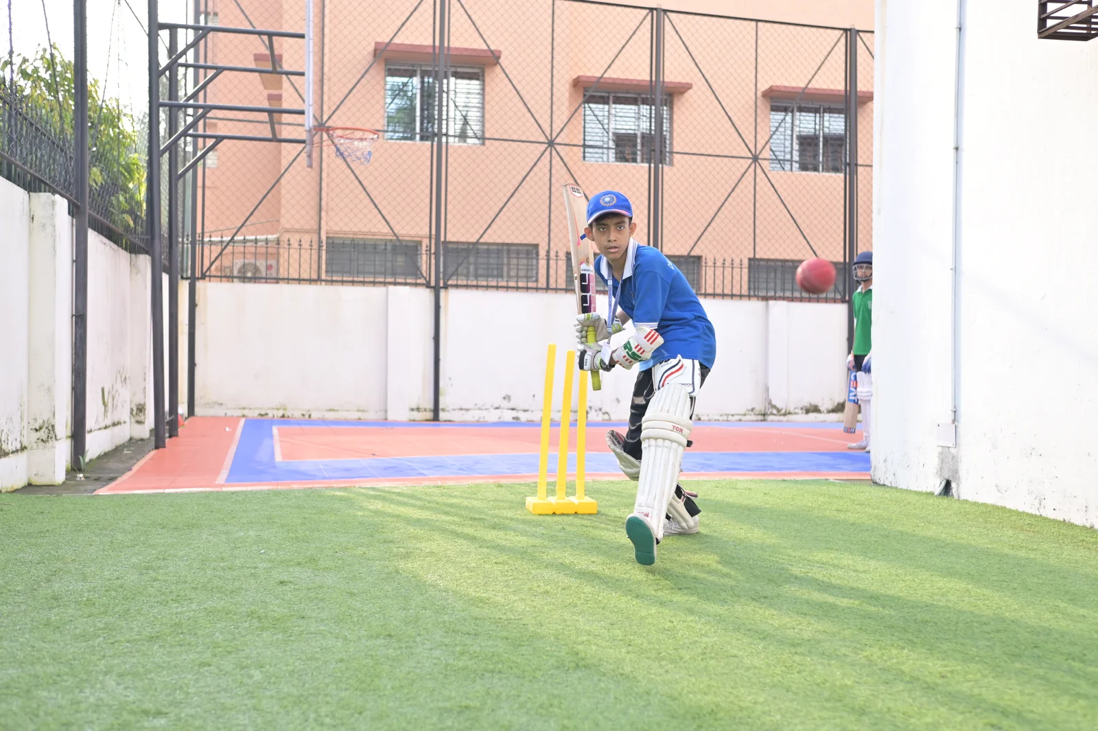 Cricket